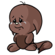 Brown Kacheek
