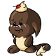 Chocolate Kacheek