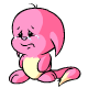 Pink Kacheek