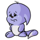 Purple Kacheek