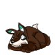 Brown Lupe