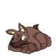 Brown Lupe