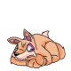 Orange Lupe