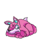 Pink Lupe