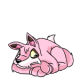 Pink Lupe