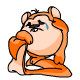 Orange Meerca