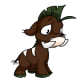 Brown Moehog