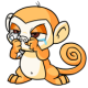 Orange Mynci