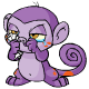 Purple Mynci