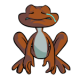 Brown Nimmo