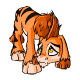 Orange Ogrin