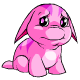Pink Poogle