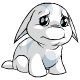 White Poogle