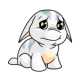 White Poogle