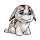 White Poogle