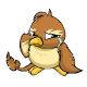 Brown Pteri