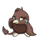 Brown Pteri