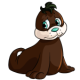 Brown Tuskaninny