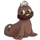 Brown Tuskaninny