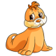 Orange Tuskaninny