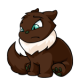 Brown Wocky