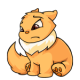 Orange Wocky