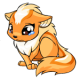 Orange Xweetok