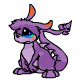 Purple Zafara